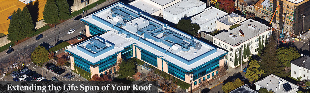Extending the Life Span of Your Roof